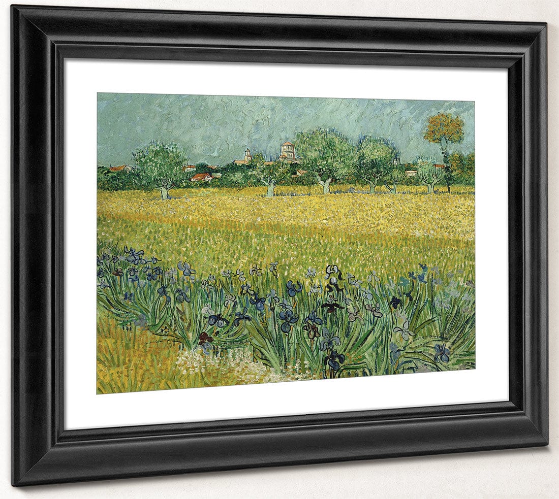 Field With Flowers Near Arles By Vincent Van Gogh Fine Art Print