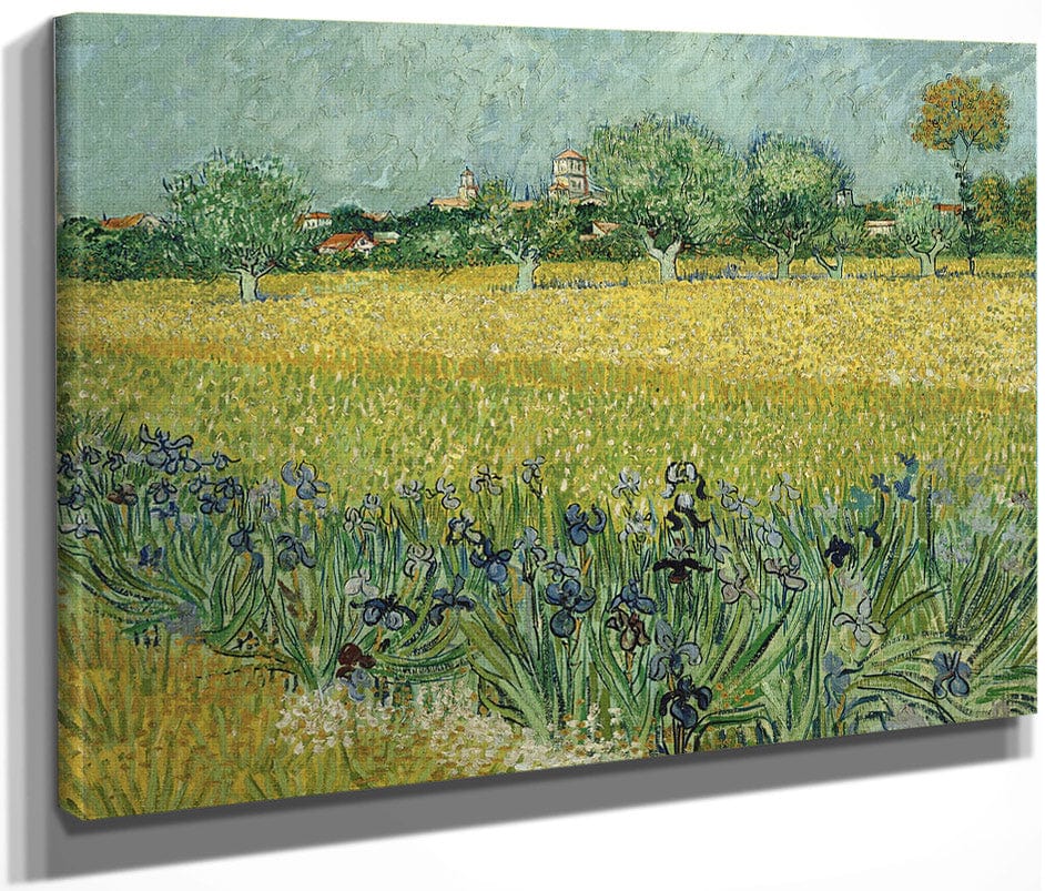 Field With Flowers Near Arles By Vincent Van Gogh Fine Art Print