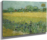 Field With Flowers Near Arles By Vincent Van Gogh Fine Art Print