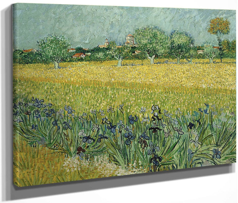 Field With Flowers Near Arles By Vincent Van Gogh Fine Art Print