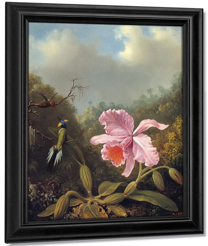 Fighting Hummingbirds With Pink Orchid By Martin Johnson Heade Fine Art Print