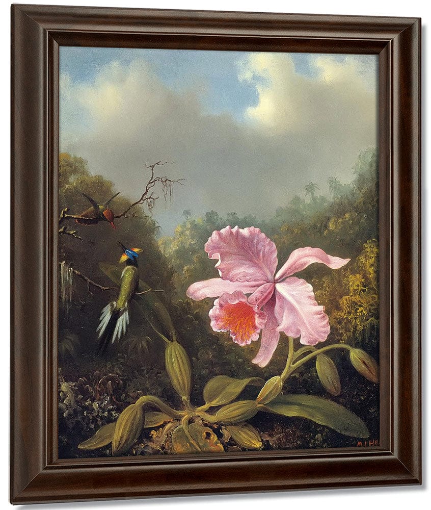 Fighting Hummingbirds With Pink Orchid By Martin Johnson Heade Fine Art Print