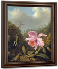 Fighting Hummingbirds With Pink Orchid By Martin Johnson Heade Fine Art Print
