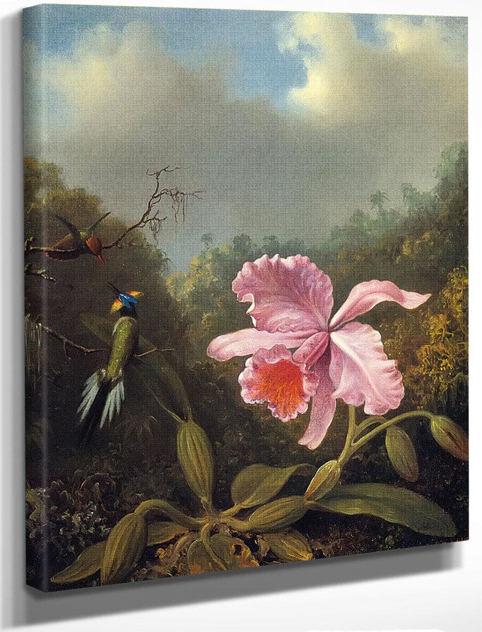 Fighting Hummingbirds With Pink Orchid By Martin Johnson Heade Fine Art Print
