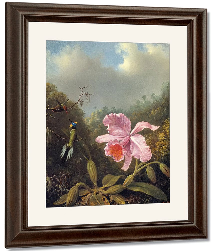 Fighting Hummingbirds With Pink Orchid By Martin Johnson Heade Fine Art Print