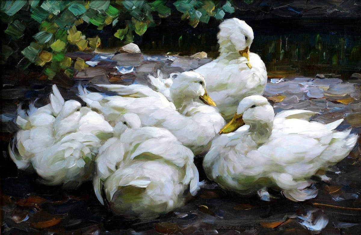 Five Dormant White Ducks Painting Alexander Max Koester Canvas Art Fine Art Print