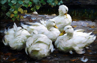 Five Dormant White Ducks Painting Alexander Max Koester Canvas Art Fine Art Print
