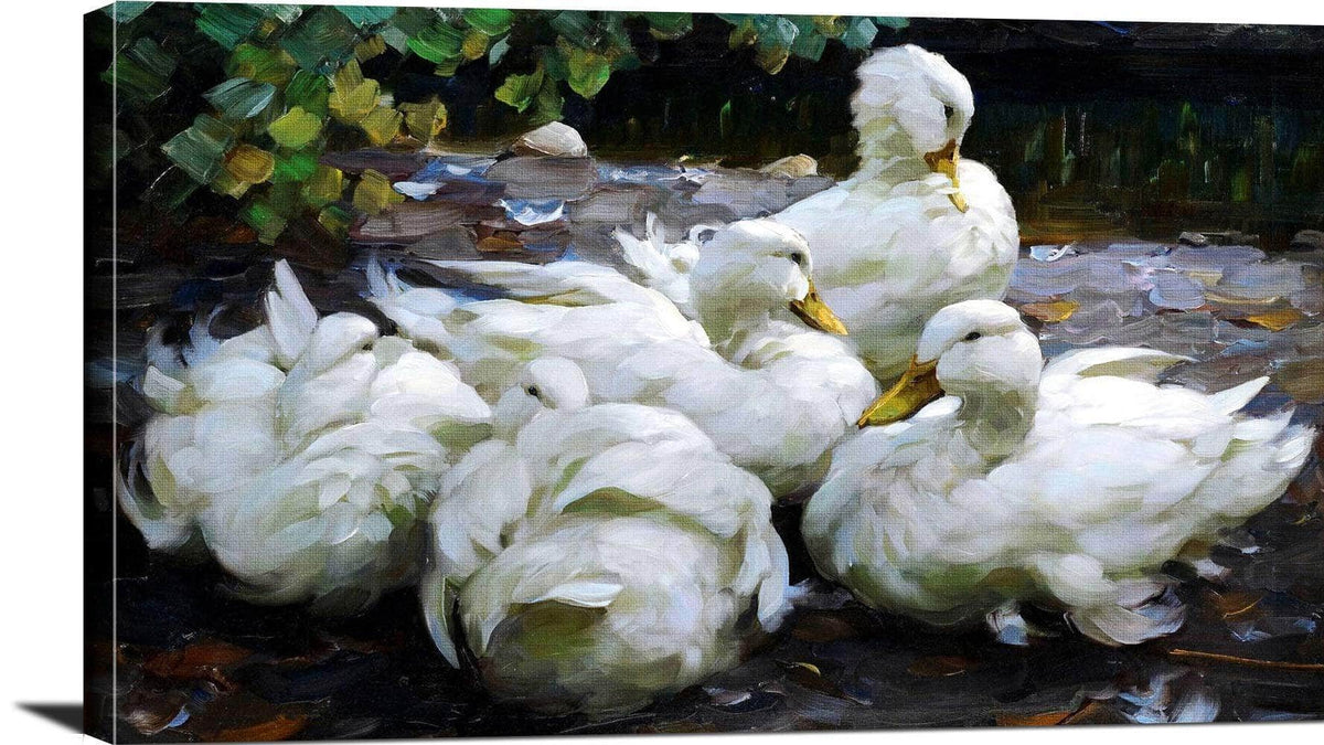 Five Dormant White Ducks Painting Alexander Max Koester Canvas Art Fine Art Print