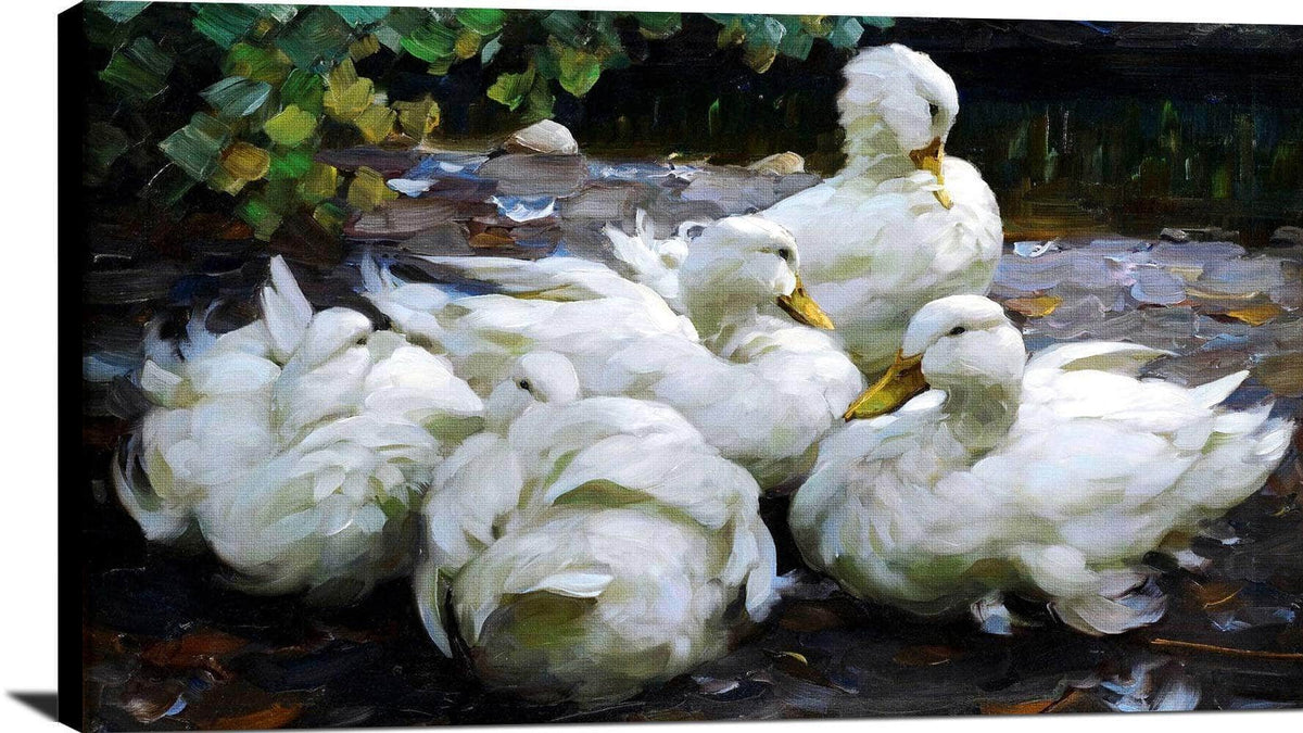 Five Dormant White Ducks Painting Alexander Max Koester Canvas Art Fine Art Print