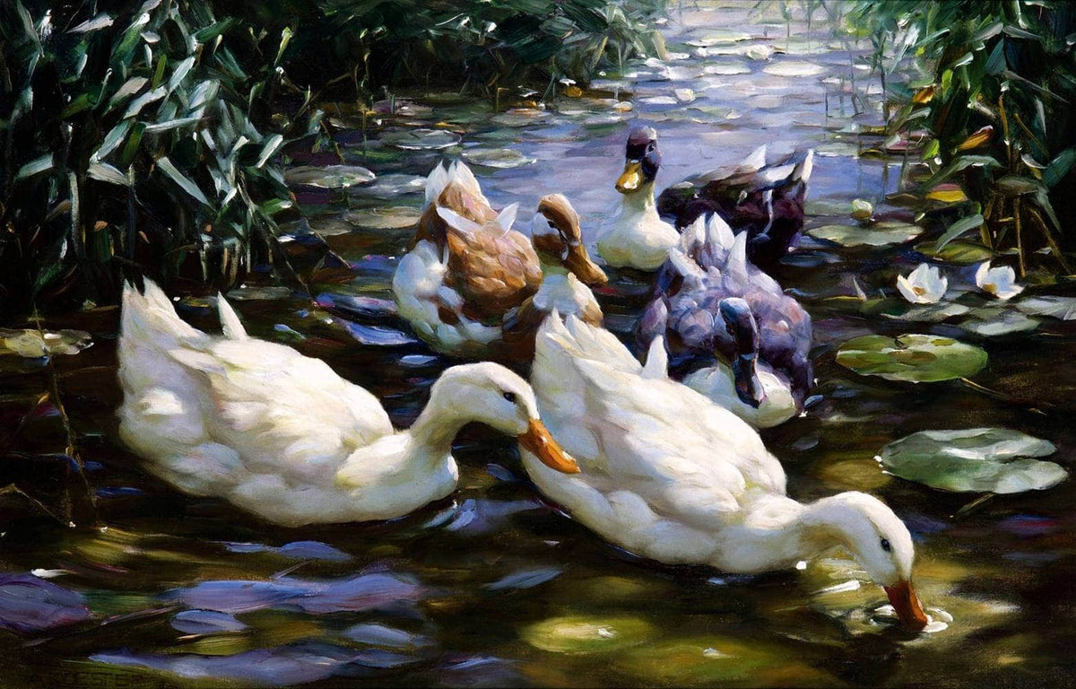 Five Ducks Painting Alexander Max Koester Canvas Art Fine Art Print