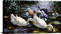 Five Ducks Painting Alexander Max Koester Canvas Art Fine Art Print