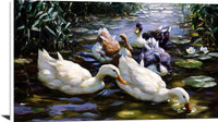 Five Ducks Painting Alexander Max Koester Canvas Art Fine Art Print
