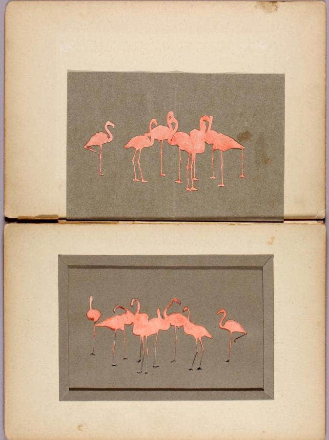 Flamingoes, Study Folder For Book Concealing Coloration In The Animal Kingdom By Abbott Handerson Thayer Fine Art Print