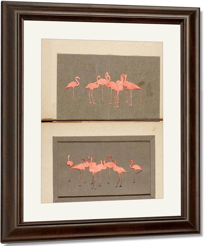 Flamingoes, Study Folder For Book Concealing Coloration In The Animal Kingdom By Abbott Handerson Thayer Fine Art Print
