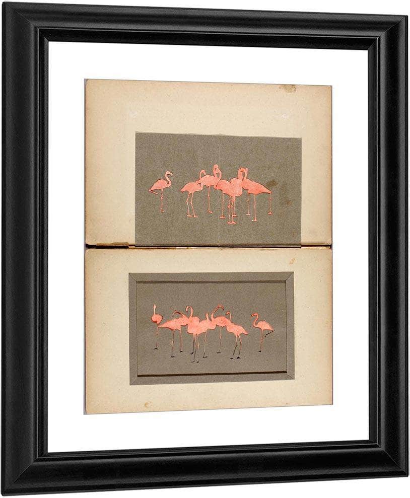 Flamingoes, Study Folder For Book Concealing Coloration In The Animal Kingdom By Abbott Handerson Thayer Fine Art Print