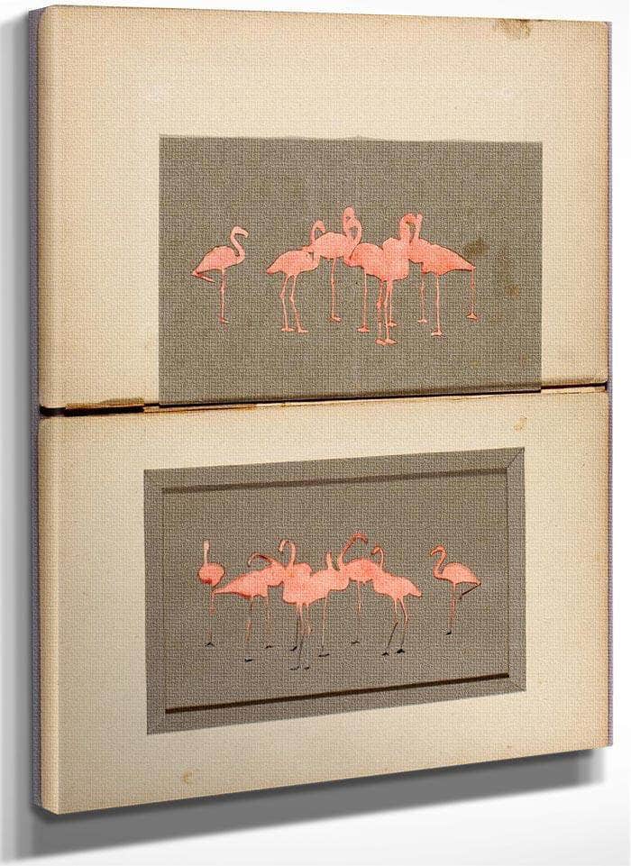 Flamingoes, Study Folder For Book Concealing Coloration In The Animal Kingdom By Abbott Handerson Thayer Fine Art Print