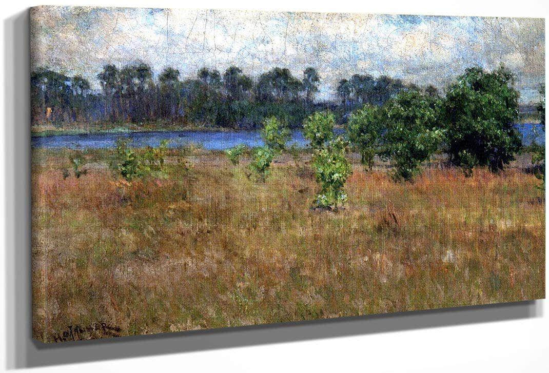 Florida By Henry Ossawa Tanner Fine Art Print