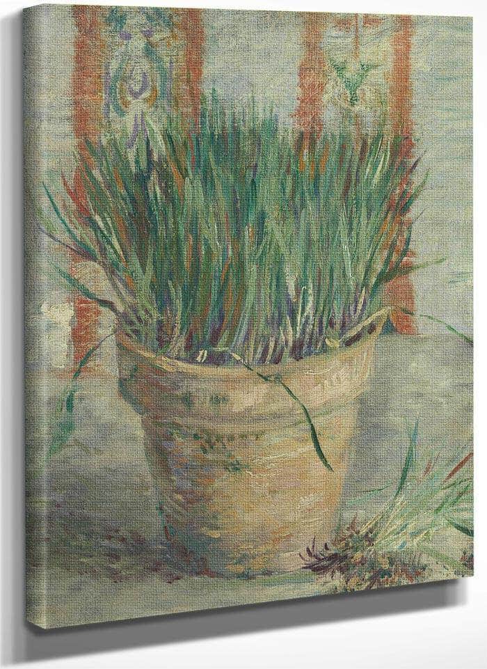 Flowerpot With Garlic Chives By Vincent Van Gogh Fine Art Print