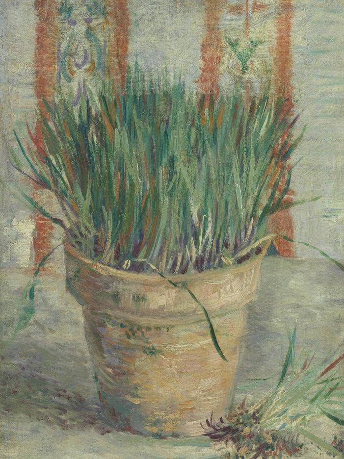 Flowerpot With Garlic Chives By Vincent Van Gogh Fine Art Print