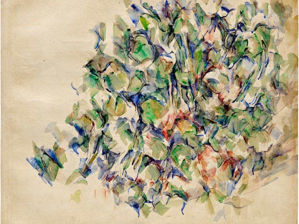 Foliage By Cezanne Paul Fine Art Print