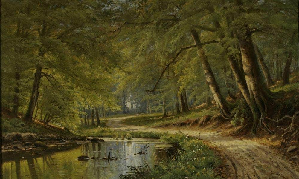 Forest Interior By Antonio Jacobsen Fine Art Print