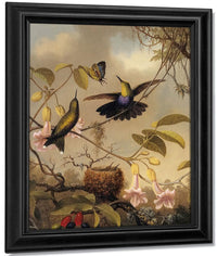 Fork Tailed Woodnymph By Martin Johnson Heade Fine Art Print