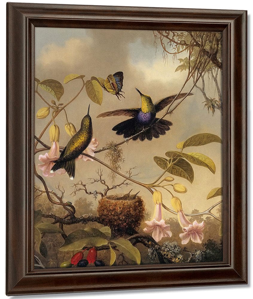 Fork Tailed Woodnymph By Martin Johnson Heade Fine Art Print