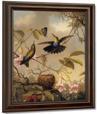 Fork Tailed Woodnymph By Martin Johnson Heade Fine Art Print