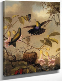 Fork Tailed Woodnymph By Martin Johnson Heade Fine Art Print