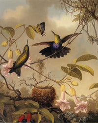 Fork Tailed Woodnymph By Martin Johnson Heade Fine Art Print