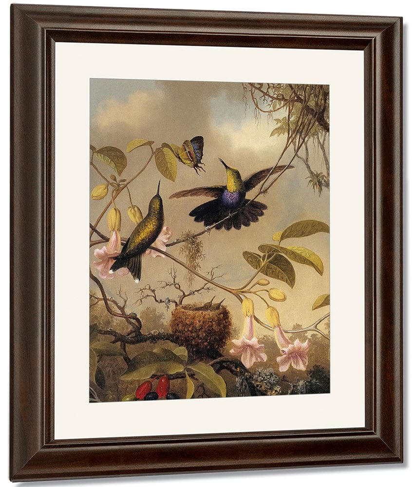 Fork Tailed Woodnymph By Martin Johnson Heade Fine Art Print