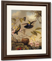 Fork Tailed Woodnymph By Martin Johnson Heade Fine Art Print