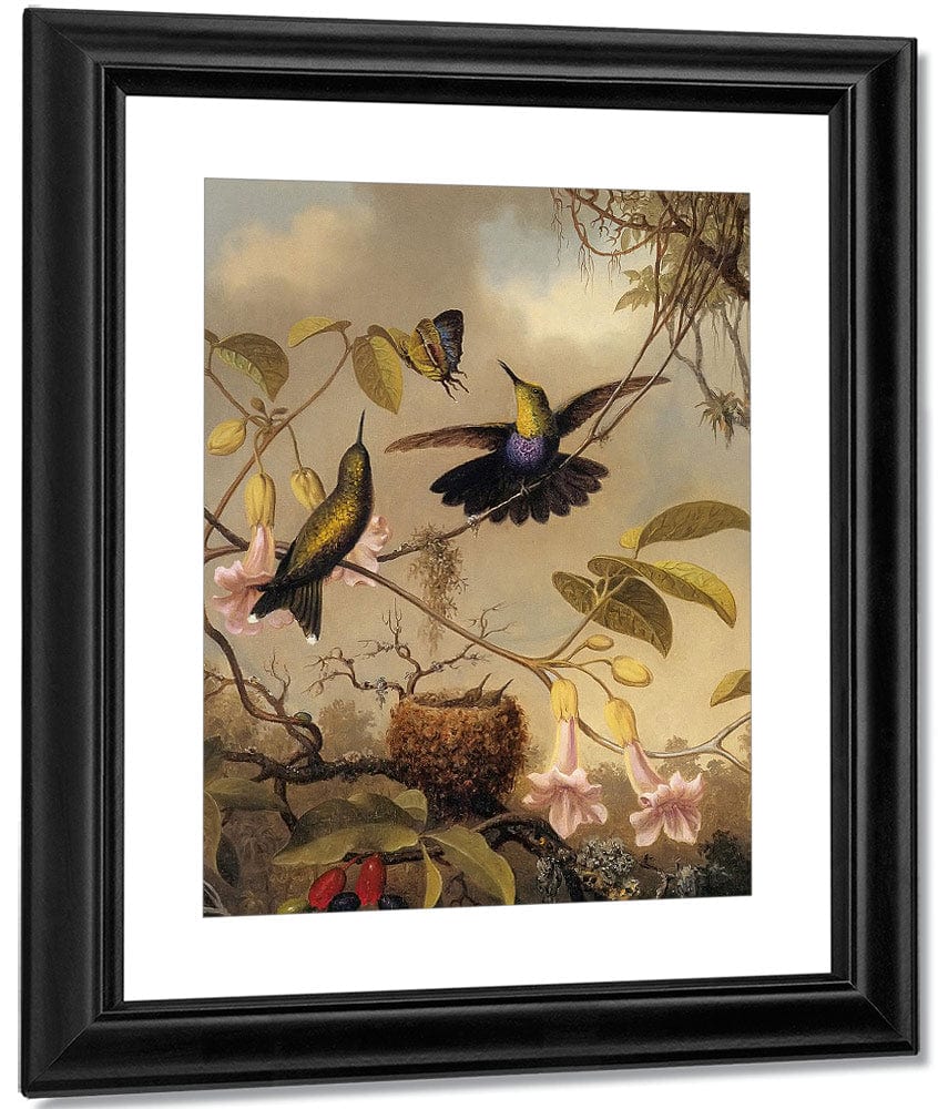 Fork Tailed Woodnymph By Martin Johnson Heade Fine Art Print