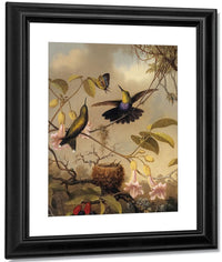 Fork Tailed Woodnymph By Martin Johnson Heade Fine Art Print