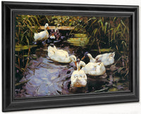Four Ducks At The Pond By Alexander Koester Fine Art Print
