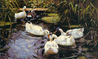 Four Ducks At The Pond By Alexander Koester Fine Art Print