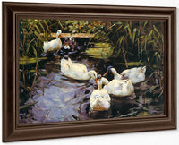 Four Ducks At The Pond By Alexander Koester Fine Art Print