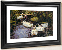 Four Ducks At The Pond By Alexander Koester Fine Art Print
