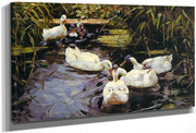 Four Ducks At The Pond By Alexander Koester Fine Art Print