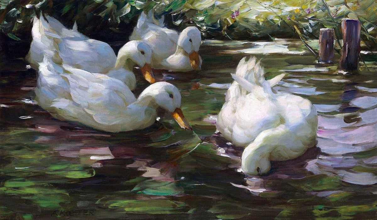 Four Ducks On The Pond Painting Alexander Max Koester Canvas Art Fine Art Print