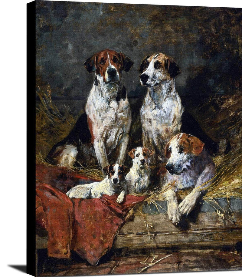 Four Foxhounds And A Terrier John Emms Canvas Art Fine Art Print