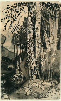 Foxgloves 4 By Nicolai Astrup Fine Art Print