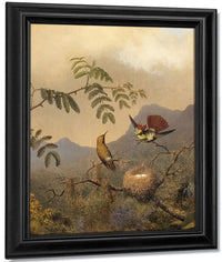 Frilled Coquette By Martin Johnson Heade Fine Art Print