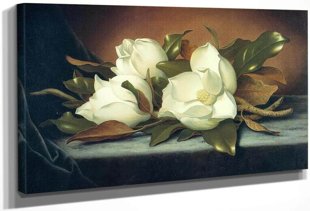 Giant Magnolias By Martin Johnson Heade Fine Art Print
