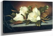 Giant Magnolias By Martin Johnson Heade Fine Art Print