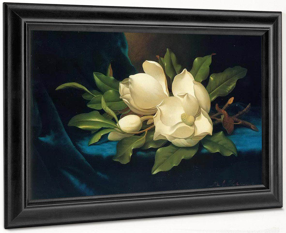 Giant Magnolias On A Blue Velvet Cloth By Martin Johnson Heade Fine Art Print