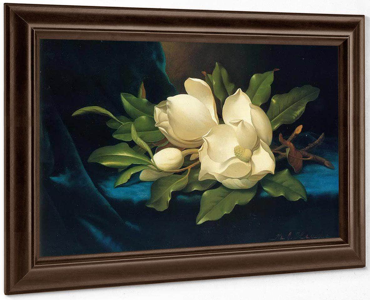Giant Magnolias On A Blue Velvet Cloth By Martin Johnson Heade Fine Art Print