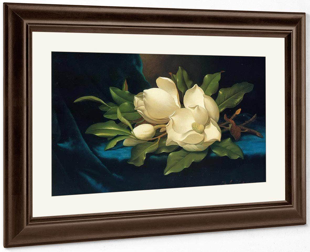 Giant Magnolias On A Blue Velvet Cloth By Martin Johnson Heade Fine Art Print