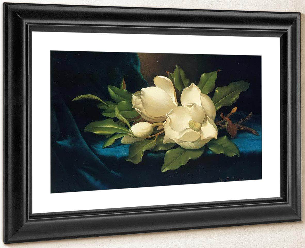 Giant Magnolias On A Blue Velvet Cloth By Martin Johnson Heade Fine Art Print