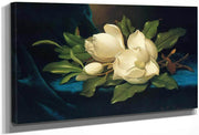 Giant Magnolias On A Blue Velvet Cloth By Martin Johnson Heade Fine Art Print